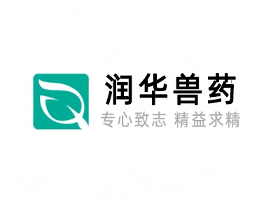 关于122cc太阳集成游戏
